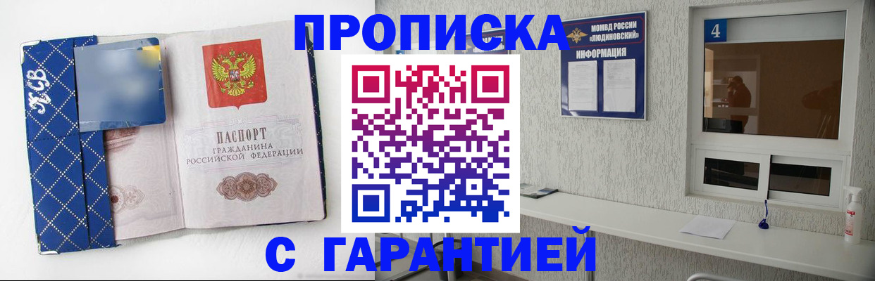 прописка для школы в Камешково